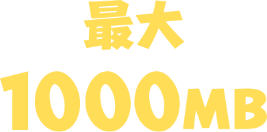 最大1000MB