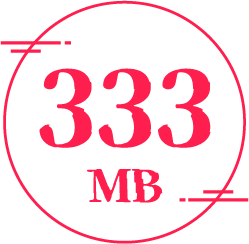 333MB