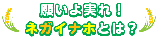 みんなでまち育て！ネガイナホとは？SP