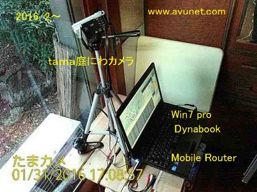 マイネ王 mineo