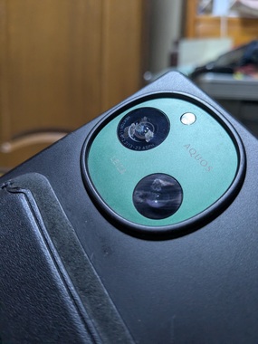PXL_20250317_125016248.jpg