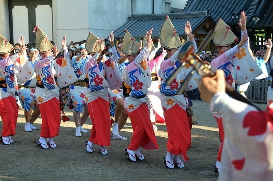 阿波踊り.jpg