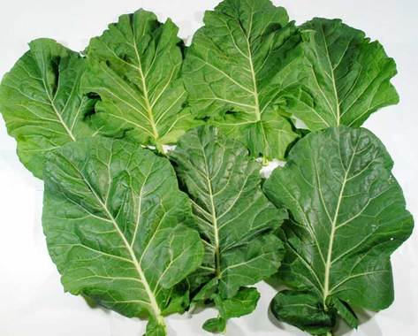 kale250g3-54.jpg