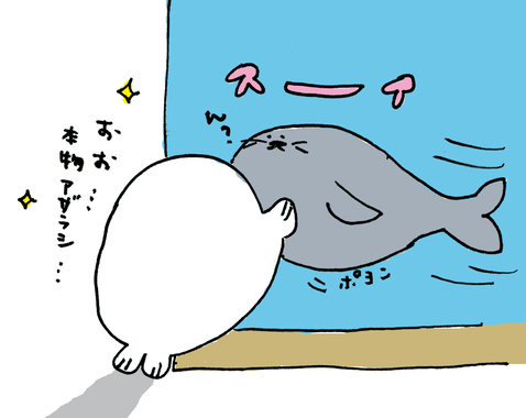 あざらし6.jpg