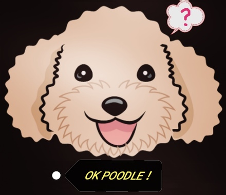 OK_Poodle.jpg