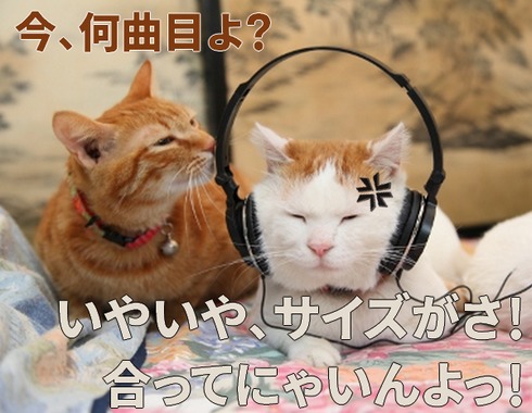 ヘッドホンとねこ今何曲目?.png