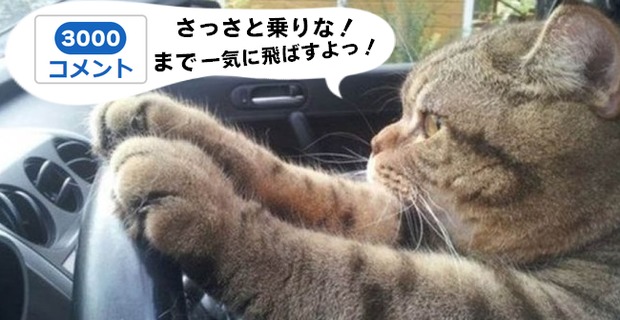 3000コメントまで運転するねこ2.png