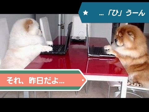 20180327_155622.jpg
