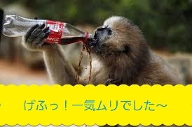 20180331_071208.jpg