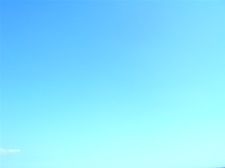 puffer_7.jpg