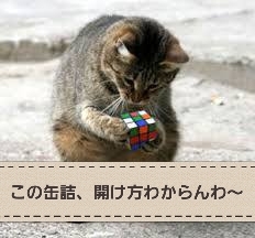 20180402_154318.jpg