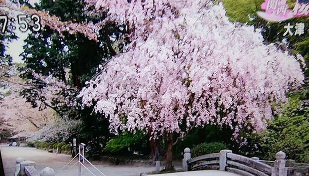 _20180406_075609.JPG