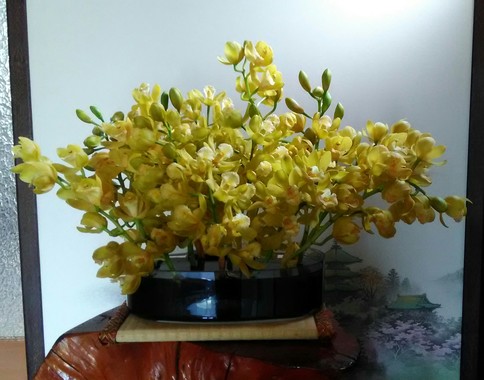 P_20180409_095456_1.jpg