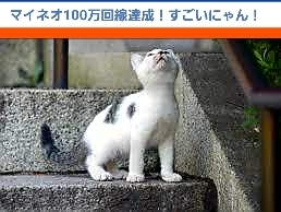 20180410_151248.jpg