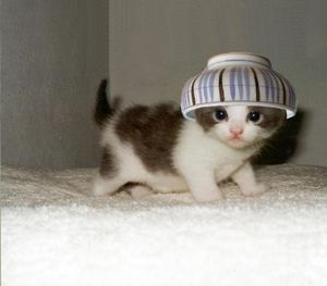 fullsize_image_(30).jpg