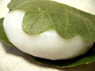 puffer_12.jpg