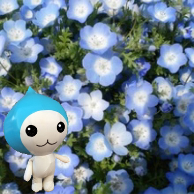 ICON_flower_ぴちょんくん_しずくちゃんVer.jpg