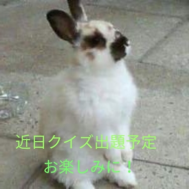 20180419060144574.jpg