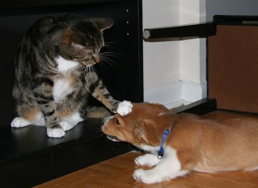 fullsize_image_(29).jpg