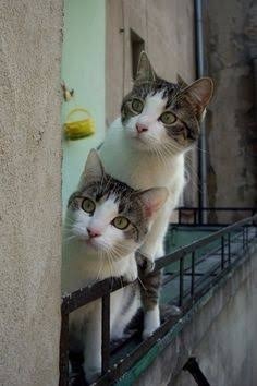 M_image_(13).jpg
