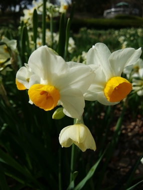 DSC_2179.JPG