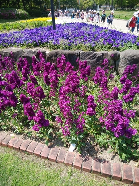 DSC_3415.JPG