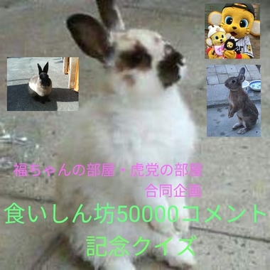 L_image.jpg