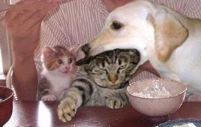 M_image_(2).jpg
