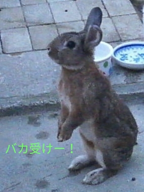 20180426155812258.jpg