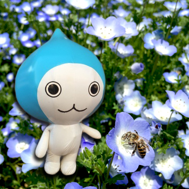 ICON_Nemophila_ぴちょんくん02.jpg