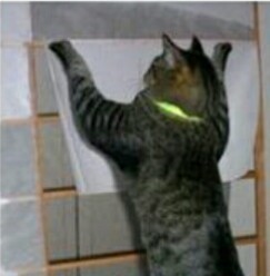 M_image_(3).jpg
