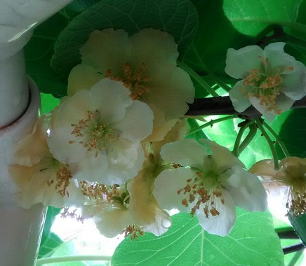 P_20180503_100711_1.jpg