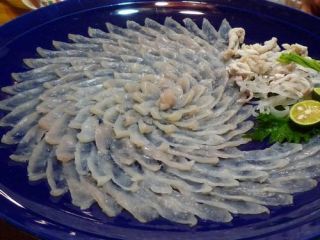 puffer_8.jpg