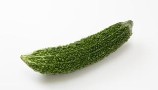 puffer_6.jpg