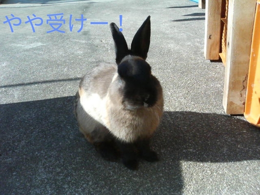 20180426155719041.jpg