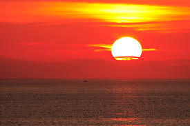 yjimage_4.jpg