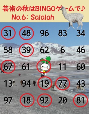 BINGO(1-1)_2018-11-02-17時点.jpg
