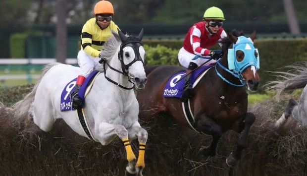 🐴今年最後のG1レース！😭【第35回ホープフルステークス】展望
