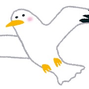 カモメ.png