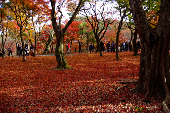 DSCF8929_00001.jpg