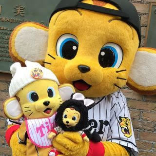 M_image_(9).jpg