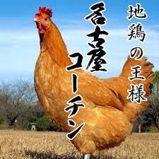 DB02A370-AEB8-4086-BF77-8541C1393F4F.jpeg