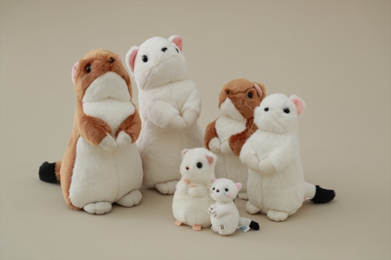 image_search_1552001422750.jpg