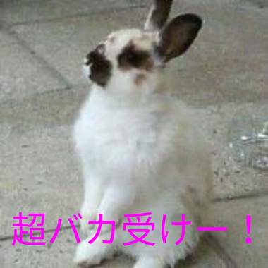 20180817164124503.jpg