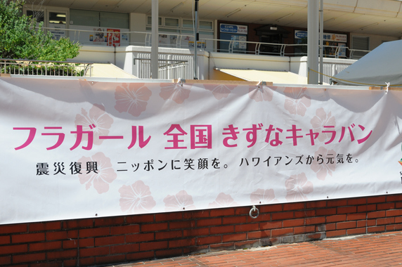 D33_9857_00001.jpg
