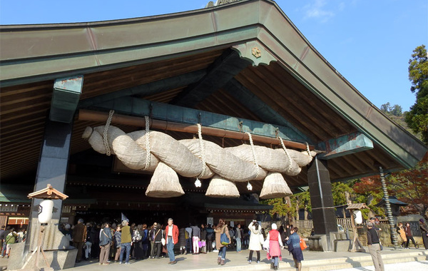 image_search_1552331865297.jpg