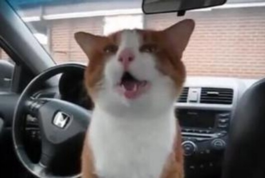 1A67B496-DF81-44FD-AE4F-74BA7E5B4D09.jpeg