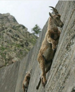 IMG_20190322_142145.jpg