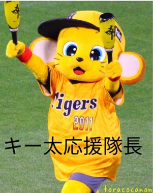 IMG_20181124_165021.jpg