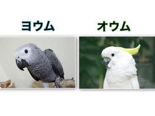 image_search_1553504813109.jpg